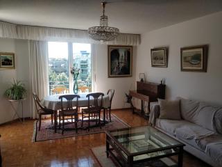 Spacious 2 Bedroom Apartment in Central Geneva - Genf - 0