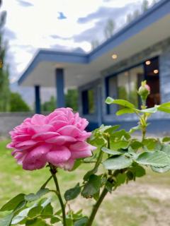 Skarma Hotel - - 4