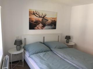 Die Kleine Feine Ferienwohnung - Villingen-Schwenningen - 3