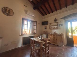 Podere La Pace - Vada - 9