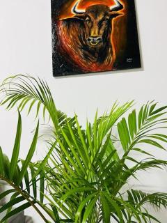Casa Zuilas - 7