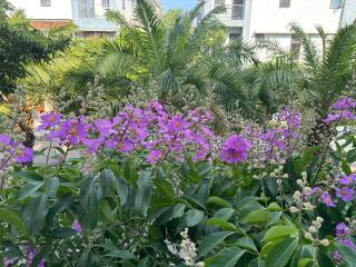 Lucky coffee & homestay - Thôn Trường Giang - 7