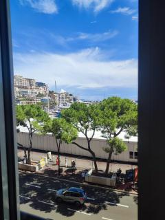 Monaco stunning port location - Monte Carlo - 8