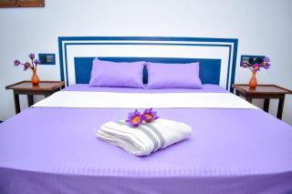 Arcadiaa Villa - Polonnaruwa - 8