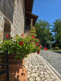 Grotta Biscia - Genazzano - 8