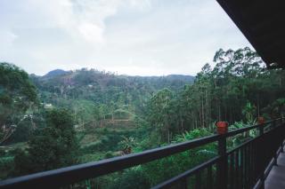 The Hidden Heaven - 6