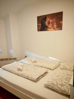 Apartman 9 - Dar Lux - Banja Koviljača - 1