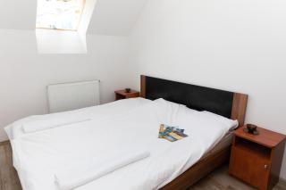 Big Suit for 4 Adults and 2 Children under 14 years - Hajdúszoboszló - 8