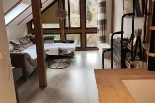 Hinterhaus im Elbhang in Dresden zw Loschwitz und Pillnitz zur Sächsische Schweiz - Dresden - 4