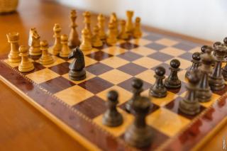 Le Mazet de Pendaries - Jardin - Gaillac - 1