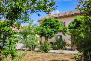 Le Mazet de Pendaries - Jardin - Gaillac - 8