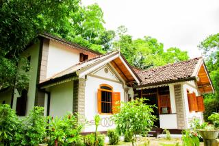 Ceylon ome sri resort - Habaraduwa - 3