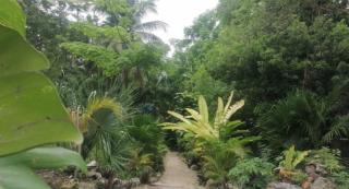 Atmósfera maya - Bacalar - 9