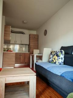 Apartman 6 - Dar Lux - Banja Koviljača - 4