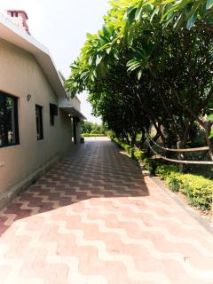 Soul tree retreat - Bhundsi - 9