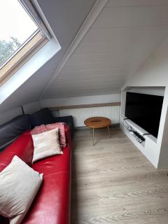 Bright and serene penthouse - Reykjavik - 8