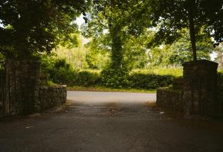 Longford Holiday Kitty Kiernan's Self Catering Thatch Cottage - Longford - 5
