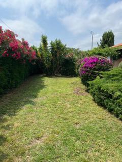 Villa Marine de Solaro - Solaro - 7