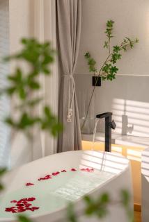 Chongqing Xiannv Mount Peach Blossom Spring Homest - 1
