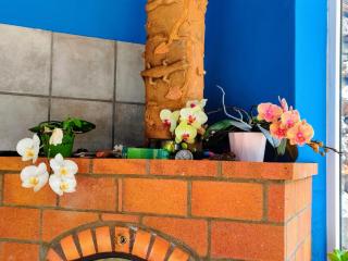 La casita del fin del mundo en La Palma - Los Llanos de Aridane - 9