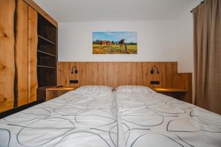 Chalet Schwaiberg - Saalfelden am Steinernen Meer - 6