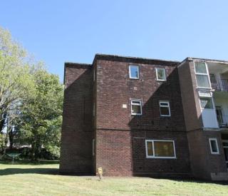 No23 - Squirrels hideaway- Carlisle - Nature reserve - 7
