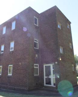 No23 - Squirrels hideaway- Carlisle - Nature reserve - 8