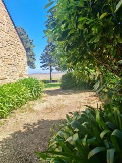 Maison de bord de mer - Lanmodez - 6