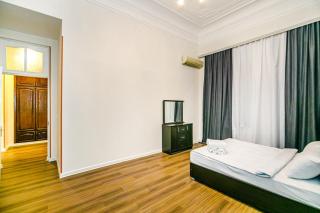 Lux Apartment İn The Nİzami Street - Baku - 6