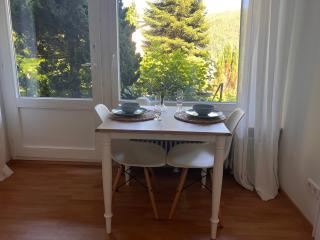 1-Zimmer Appartement mit Talblick - 5