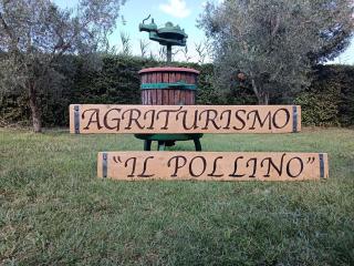 Agriturismo il Pollino - Grosseto - 0