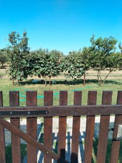 Agriturismo il Pollino - Grosseto - 8