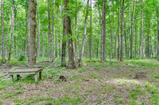 400-Acre Outdoor Enthusiasts Lodge in Mancelona! - Mancelona - 8