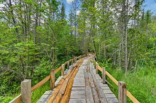 400-Acre Outdoor Enthusiasts Lodge in Mancelona! - Mancelona - 2