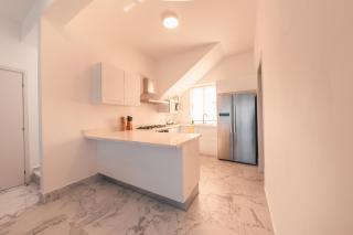 Penthouse with jacuzzi in Lake View - 3