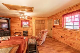 Sleepy Bear Cabin: Perfect for Solo Travelers - Bryson City - 1