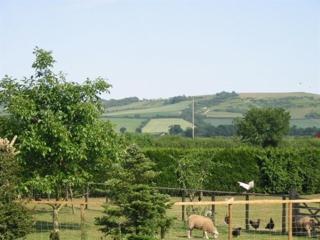 Wayside B&B - 2