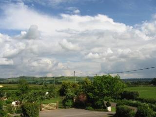 Wayside B&B - Chittoe - 1