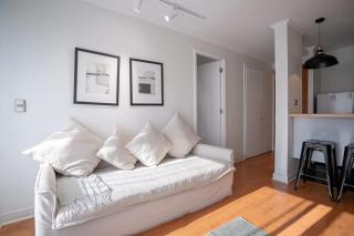 Live Providencia from your cozy home - Santiago - 6