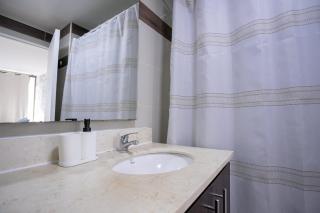 Live Providencia from your cozy home - Santiago - 5