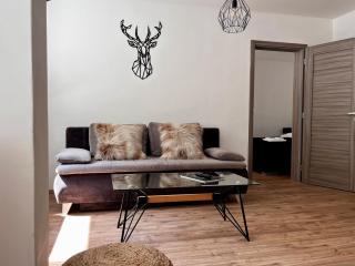 Horský apartmán s výhledem do lesa, terasa, kvalitní wi-fi, parkování zdarma - opětovně otevřeno červenec 2025 po kompletní rekonstrukci - Jeseník - 2
