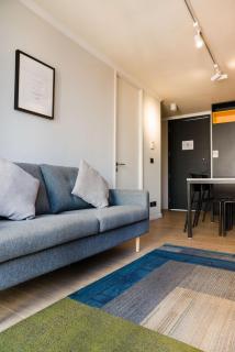 Descubre nuestro paraiso urbano en Providencia - Santiago - 3