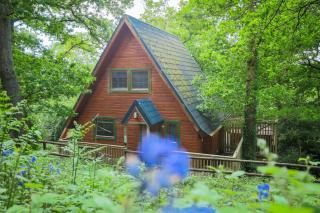Lodge 68 - Fern Gully - Newton Abbot - 9