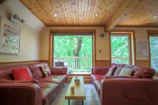 Lodge 68 - Fern Gully - Newton Abbot - 6