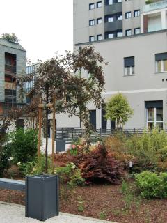Trendy apartment a Milano - Milan - 6