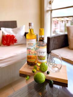 Appartement T2 tout confort a 50m de la plage anse Mitan - 4