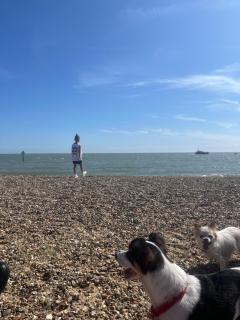 Hutleys caravan park - Jaywick Sands - 4