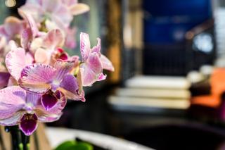 Hotel Bella Riva - 1