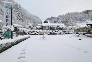 White House in Forest - 4