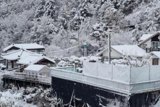 White House in Forest - 7